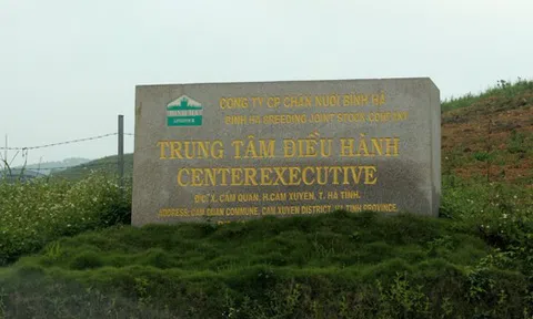 Vì sao dự án nuôi bò Bình Hà gần 5.000 tỷ đang "chết lâm sàng"?