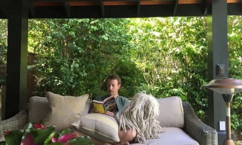 Căn biệt thự hết sức giản dị của tỷ phú Mark Zuckerberg - ông chủ mạng xã hội Facebook