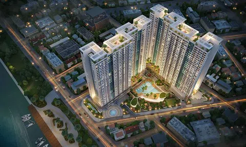 Tập đoàn Thành Thành Công đang nắm bao nhiêu cổ phần tại Sacomreal?