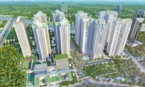 Tiết lộ về loạt dự án VinCity của Vingroup