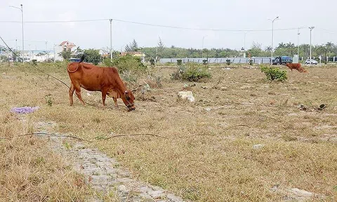 Đà Nẵng: Thừa 14.589 lô đất tái định cư, dân mất đất sản xuất, mất việc