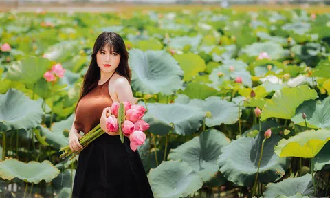 Lội bùn chụp ảnh sen, phó nháy kiếm tiền triệu mỗi ngày