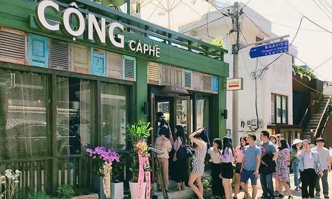 Giới trẻ Hàn Quốc 'rồng rắn' thưởng thức cà phê Cộng