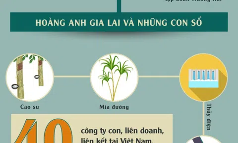 Bầu Đức và những cú bắt tay làm nên lịch sử