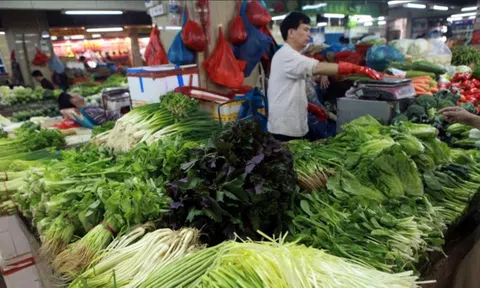 Macau: Cuộc sống nghèo khổ khó tin ở nơi giàu bậc nhất thế giới
