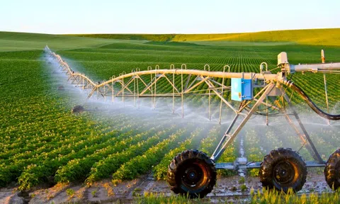 Cách nào để Chính phủ huy động 21.700 tỷ đồng phát triển hợp tác xã?