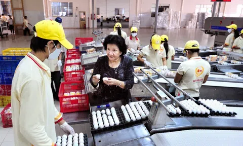 Ba Huân muốn hủy thỏa thuận hợp tác 32 triệu USD với VinaCapital
