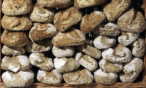 Chế độ ăn uống Low-Carb gia tăng nguy cơ mắc bệnh ung thư