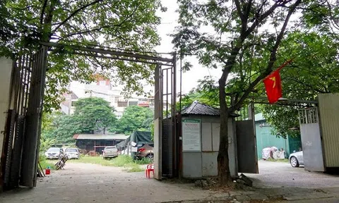 Dự án 'khủng' của Constrexim bất ngờ bị đề nghị thu hồi