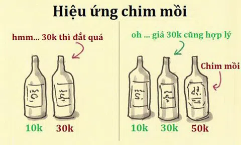 Hiệu ứng chim mồi: Tâm lý “Ngu sao không mua” hay là Cái bẫy tiêu tiền nguy hiểm nhất thế kỷ