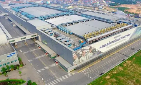 Đừng để 'Samsung hắt hơi, nền kinh tế Việt Nam... ốm'