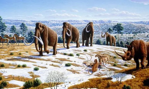 11 bí ẩn về thế giới và con người khiến các nhà khoa học “bó tay”