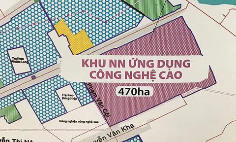 Liên đới của Tổng CTCP Phong Phú và Tập đoàn Trung Thủy trong việc dùng sai cả nghìn hecta đất tại SAGRI