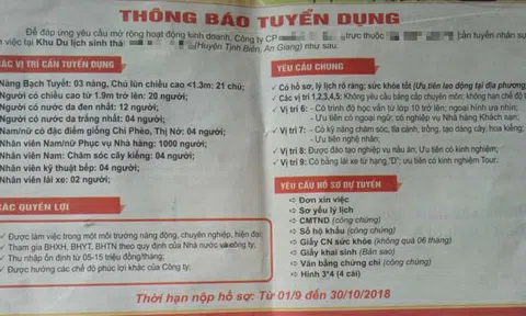 Một công ty tuyển dụng... “Chí Phèo, Thị Nở, Bạch Tuyết, Chú Lùn”!