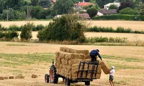 Doanh nghiệp Trung Quốc đổ tiền mua đất nông nghiệp các nước phát triển