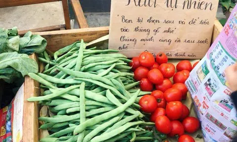 Đà Lạt có ‘quầy rau tử tế’, người mua rau tự bỏ tiền vào thùng
