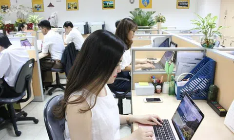 Khám phá môi trường làm việc cực năng động của biệt đội “Big Osin” Thế Giới Di Động