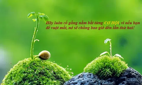 Chuyện cuối tuần: Chú dê, gà tây, con cáo và bài học "đừng cố xua đi cơ hội, bởi hành động của ta nằm trong tay ta, nhưng hậu quả của chúng thì không"