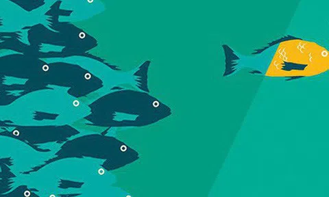 Bí quyết của một nhà lãnh đạo xuất chúng đều gói gọn trong 3 điều đơn giản này, ai có được ắt sẽ thành công