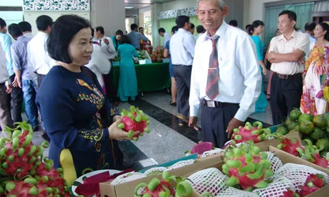Trung Quốc ngừng 'ăn' hàng, thanh long sạch vẫn bán được 25.000đ/kg