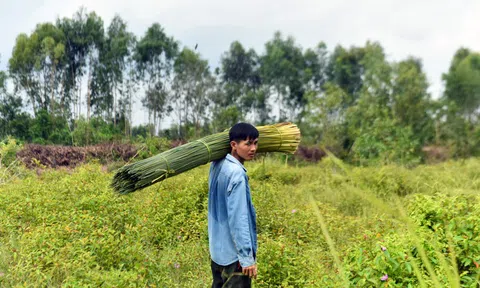 Chàng nông dân 'khùng' và giấc mơ ống hút tre