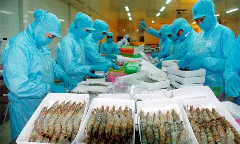 Doanh nhân Việt trong thời đại 4.0: 'Không thể đi thang bộ mà nhanh hơn thang máy'