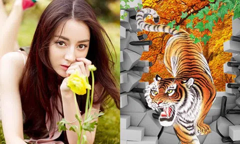 3 con giáp phải xa quê hương mới có thể ăn nên làm ra