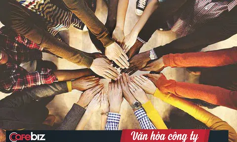 Nếu là chủ doanh nghiệp, bạn không nên bỏ qua bài này: Xây dựng thương hiệu với nhân viên hay với khách hàng?