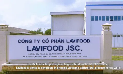 Chân dung Lavifood - Doanh nghiệp bỏ hàng chục tỷ đồng đưa bản quyền AFF Cup về với nông dân
