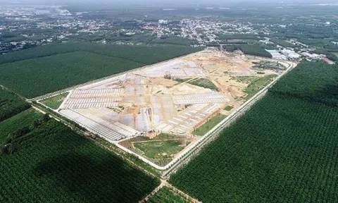 Lợi nhuận 200%: Mua đất cõi âm nhanh giàu vô đối?