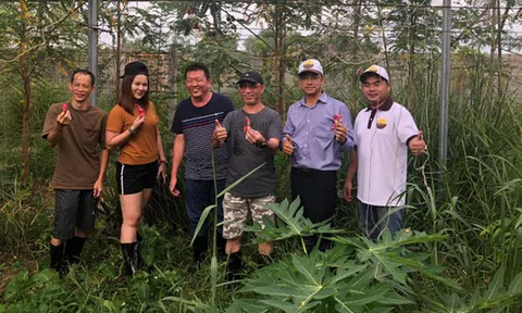 'Tôi muốn mỗi người nông dân sẽ là chủ của một resort'