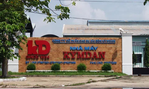 [Timelines] Con đường trải nệm của Kymdan