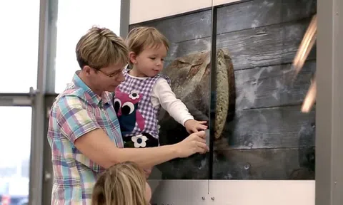 [Case study] "Cởi trói" cho người đói chỉ bằng cách quẹt thẻ