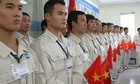 Đủ chiêu lừa đảo phá hỏng ‘giấc mơ Nhật’ của tu nghiệp sinh Việt