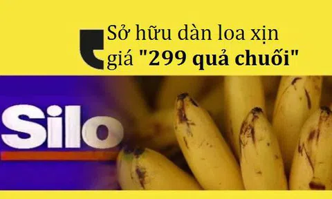 Dùng "tiếng lóng" quảng cáo dàn loa giá “299 bananas”, khách hàng "nghiêm túc" mang 11.000 quả chuối thật đến đổi khiến chuỗi điện máy lỗ nặng