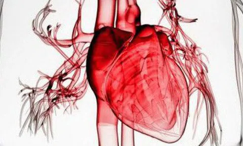 500.000 người chết/năm vì căn bệnh nguy hiểm hơn ung thư: Dấu hiệu vàng để phát hiện bệnh