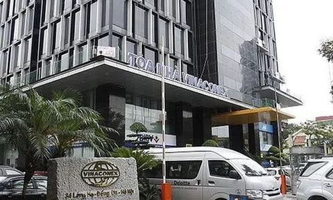 Vì sao con trai nhà tư sản Trịnh Văn Bô muốn mua cổ phần Vinaconex?