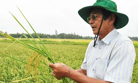Người tạo ra giống lúa ngon top 3 thế giới Hồ Quang Cua: "Chúng tôi là những người mở đường"