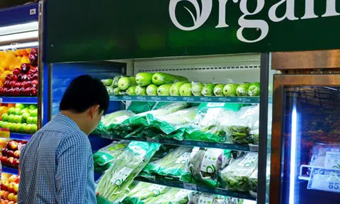 Đầu tư hữu cơ không thể ẩu