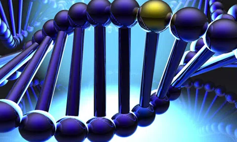 Vingroup đầu tư 4,5 triệu USD nghiên cứu giải mã gen người Việt