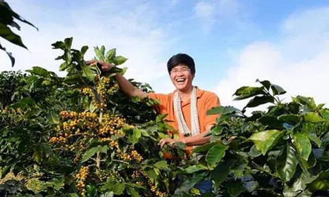 Ông chủ Specialty The Married Beans: Liên kết 'bốn nhà' để làm ra hạt cà phê tử tế