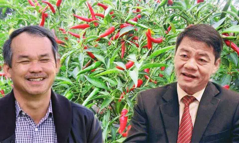 Tỷ phú Trần Bá Dương đưa người vào “đại phẫu” công ty bầu Đức