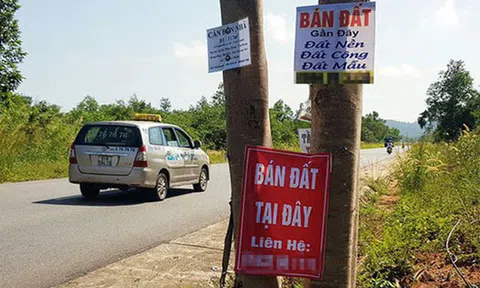 Miếng ruộng hoang bất ngờ tăng giá gấp đôi: Cuộc 'càn quét' chưa từng có