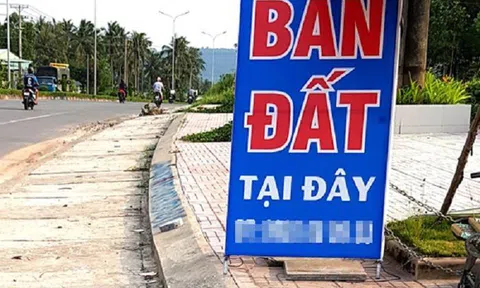 Một ngày tăng giá 15 tỷ: Điên cuồng đặc khu, cơn sốt lịch sử