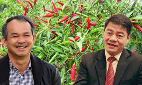 6 sếp phó bị miễn nhiệm, 'giấc mơ' Nông nghiệp của bầu Đức đi về đâu?