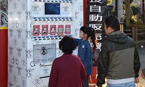 Dựng máy bán ‘snack’ côn trùng ăn liền, ông chủ người Nhật thu gần 5.000 USD/tháng