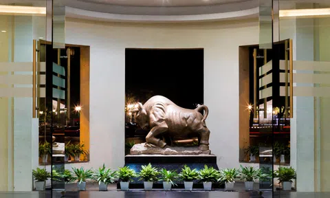 Đầu tư chứng khoán 'hít khói' gửi tiền tiết kiệm, quỹ nội hay quỹ ngoại cũng thất bại với thị trường