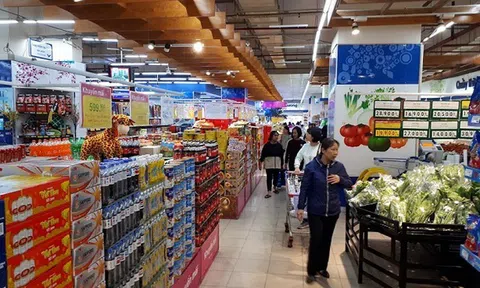 Liên minh đại gia Việt: Bắt tay hoành tráng, cái kết bẽ bàng chỉ vì đất
