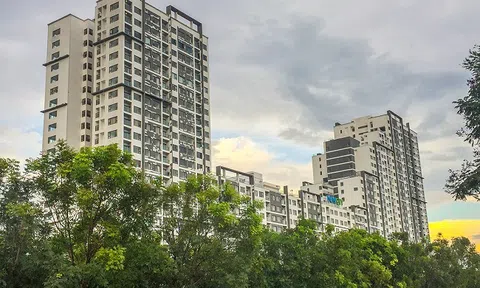Thuận Việt dọa đuổi cư dân New City ra khỏi nhà vì không vay tiền ngân hàng