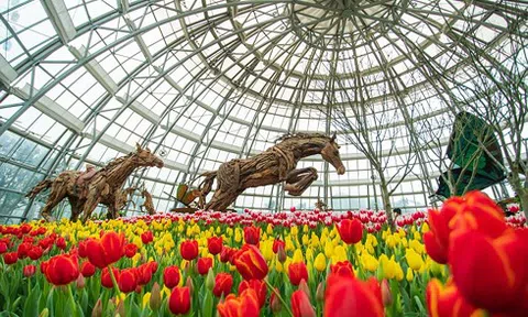 “Thảnh thơi tận hưởng, thưởng trọn tinh hoa” tại Vinpearl Luxury